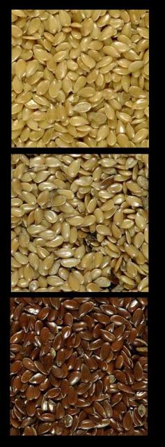 Flax seed, Flax news, Flax Cherry Oatmeal Crisps Recipe, 4 Ways to Test for Quality Flax, Flax helps Sleep